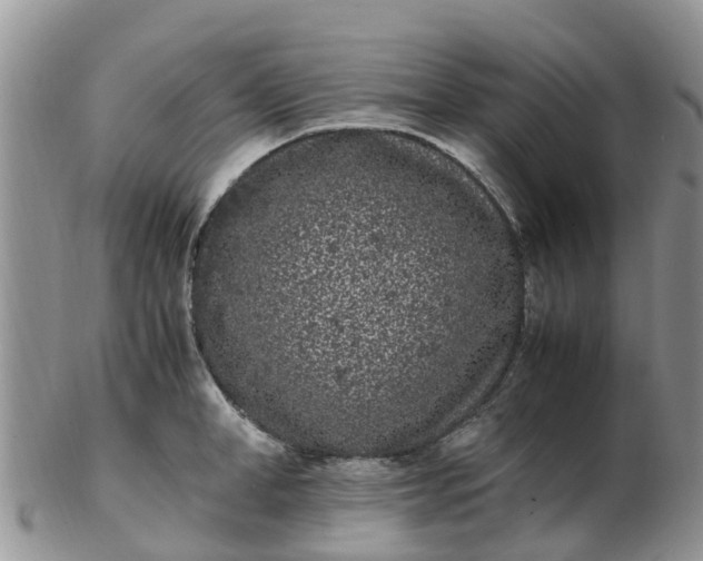 X0000103270998200809122132
