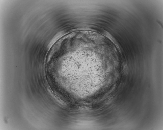 X0000103271002200809122131