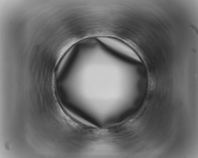 X0000103271006200809122131
