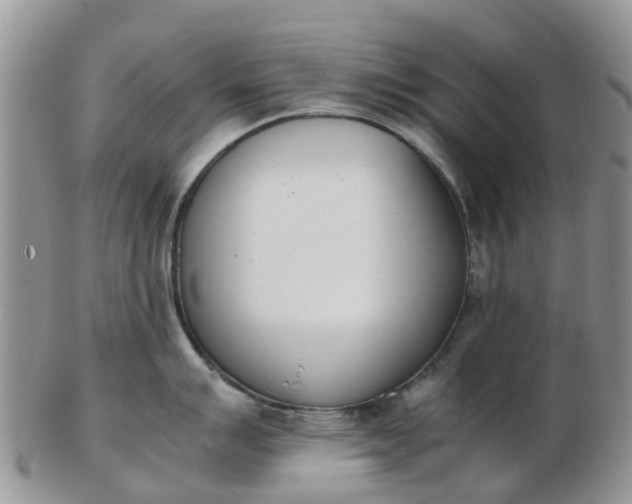 X0000103271007200809122131