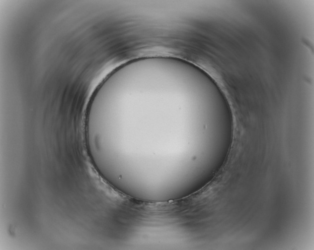 X0000103271008200809122131