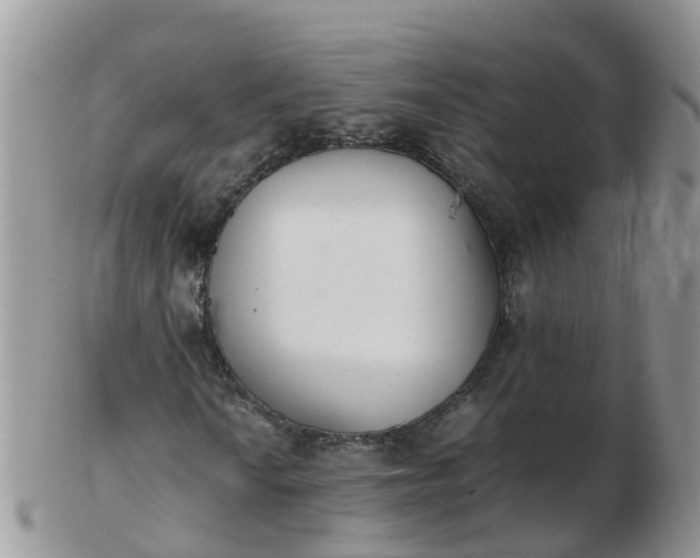 X0000103271010200809122131