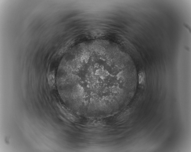 X0000103271011200809122131