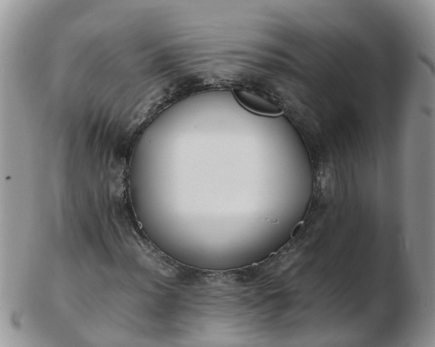X0000103271012200809122131