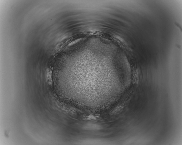 X0000103271013200809122131