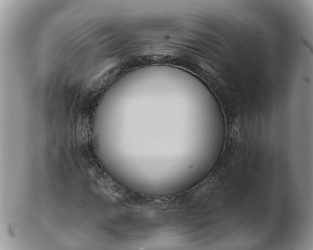 X0000103271014200809122131