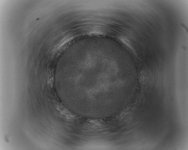 X0000103271015200809122131
