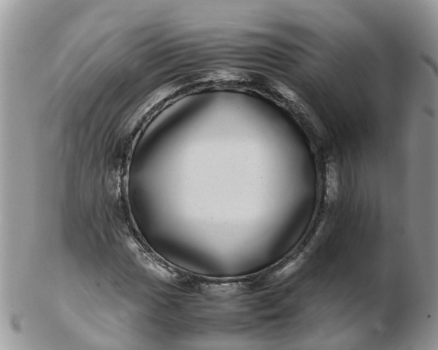 X0000103271017200809122131