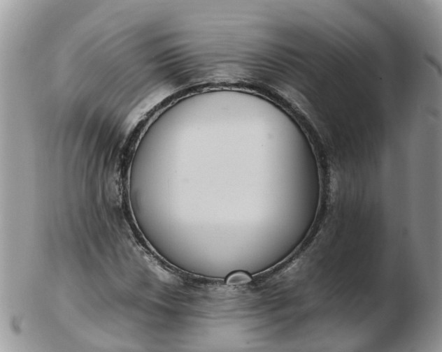 X0000103271018200809122131