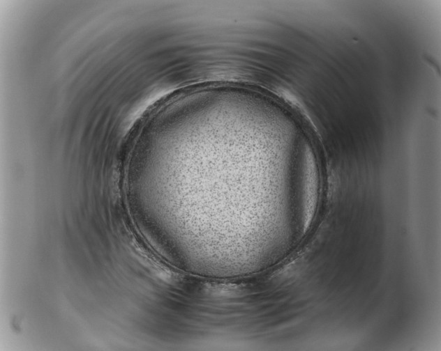 X0000103271019200809122131