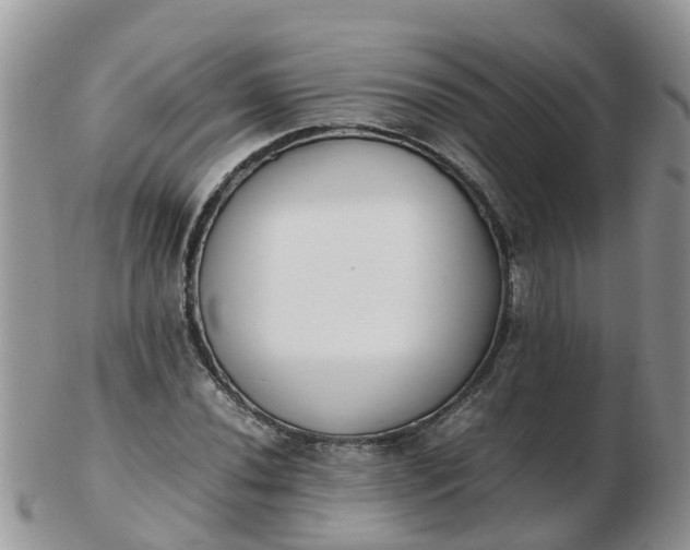 X0000103271020200809122131