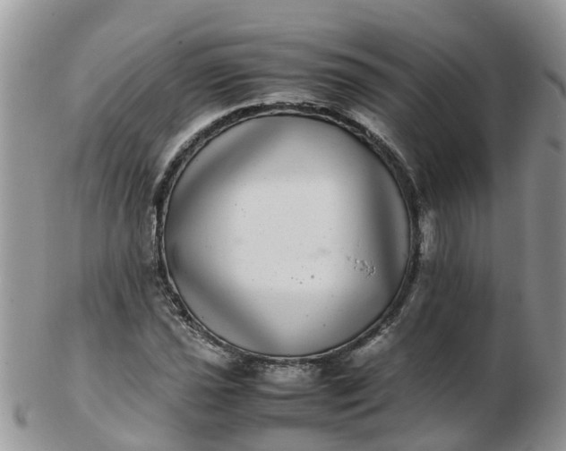 X0000103271021200809122131