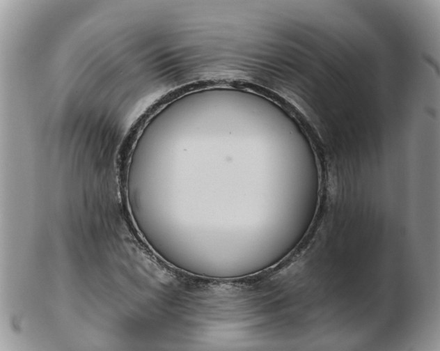 X0000103271022200809122131