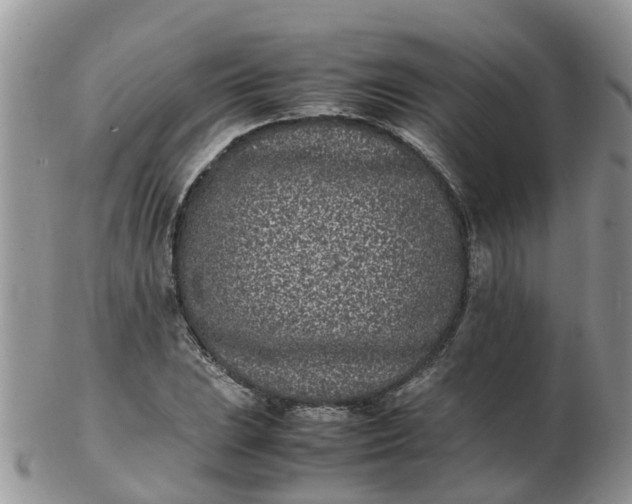 X0000103271023200809122131