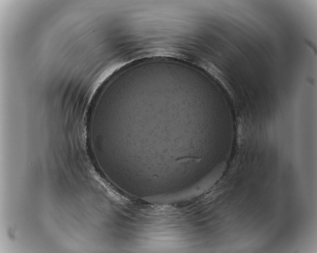 X0000103271024200809122131