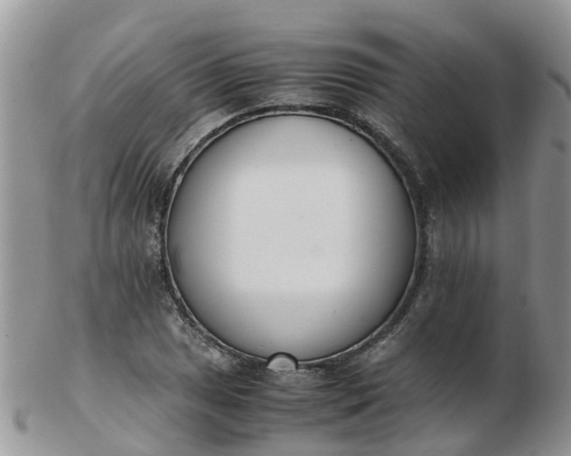 X0000103271025200809122131