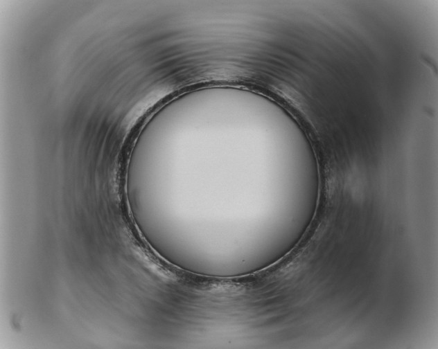 X0000103271026200809122131