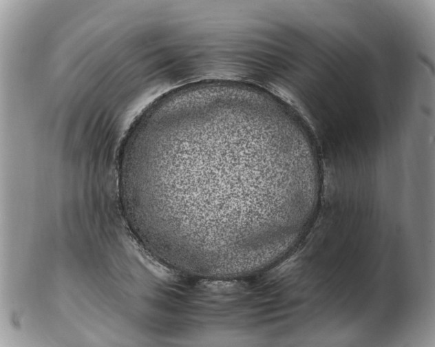 X0000103271027200809122131