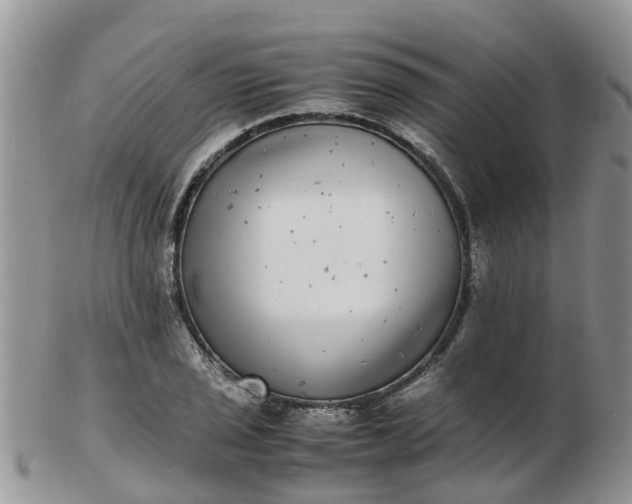 X0000103271029200809122131