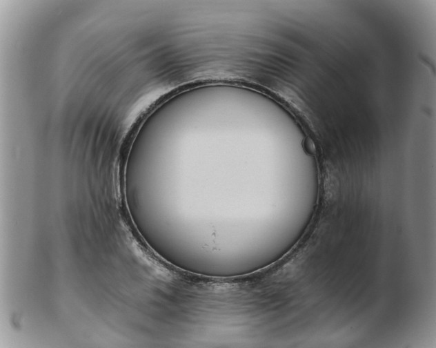 X0000103271030200809122131