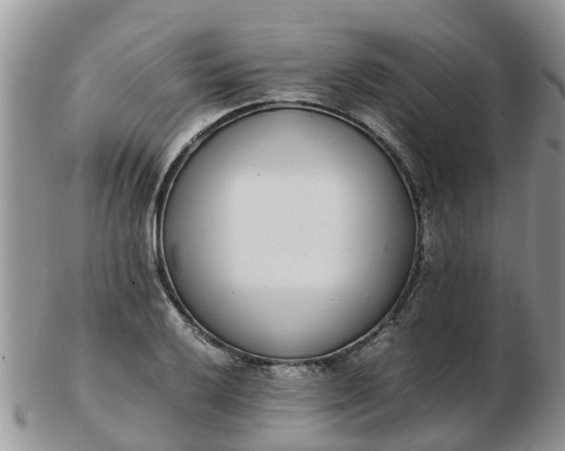 X0000103271032200809122131
