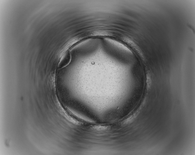 X0000103271033200809122131