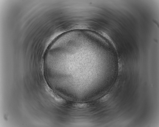 X0000103271035200809122131