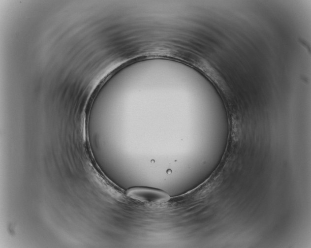 X0000103271036200809122131