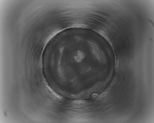 X0000103271037200809122131