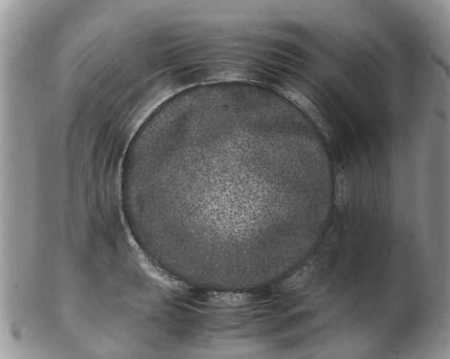 X0000103271039200809122131