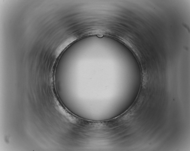 X0000103271042200809122131
