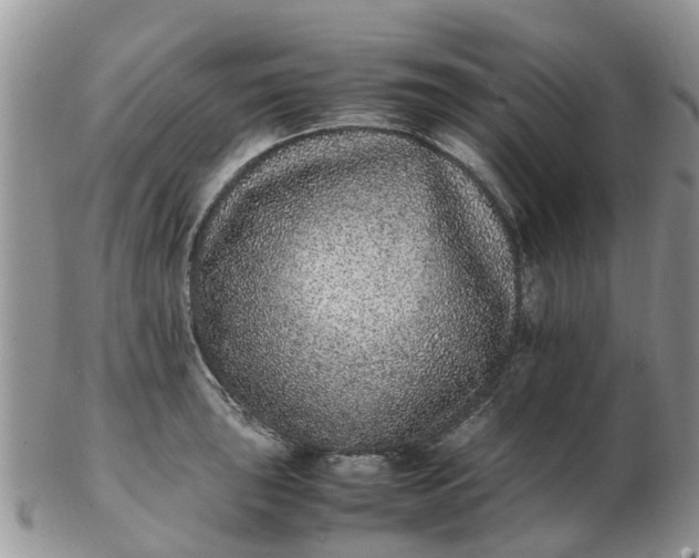 X0000103271043200809122131