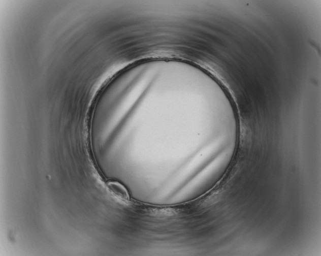 X0000103271045200809122131
