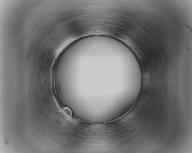 X0000103271046200809122131