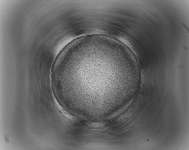 X0000103271047200809122131