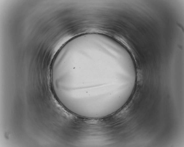 X0000103271048200809122131