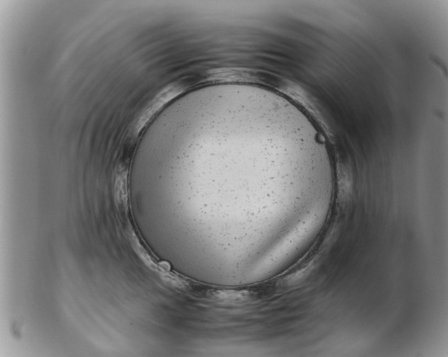X0000103271049200809122131