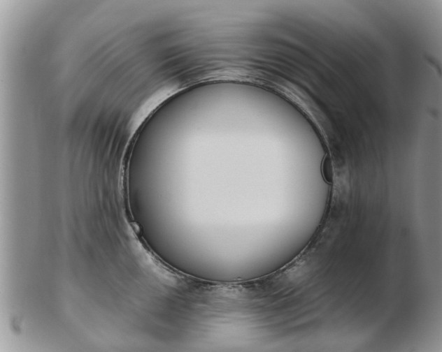 X0000103271050200809122131