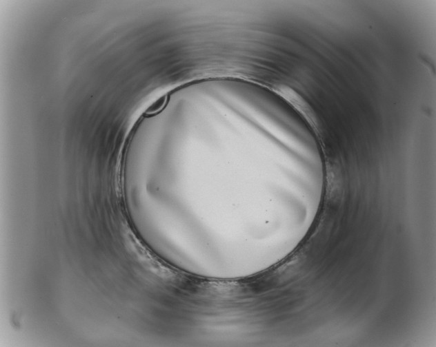 X0000103271052200809122131