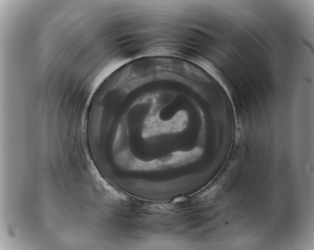 X0000103271053200809122131