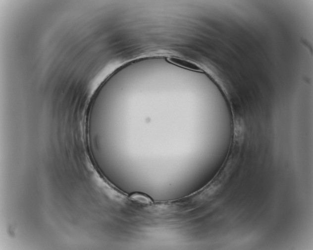 X0000103271054200809122131