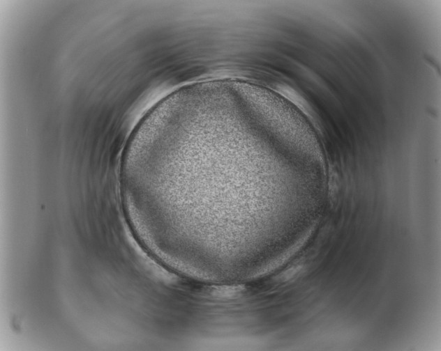 X0000103271055200809122131