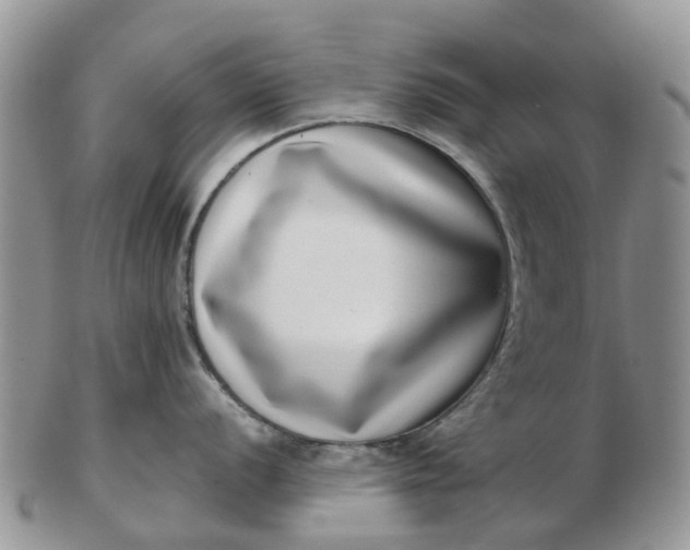 X0000103271056200809122131