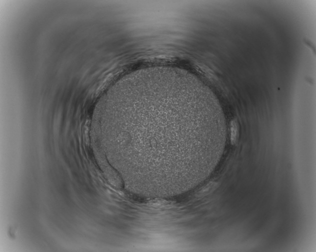 X0000103271059200809122130