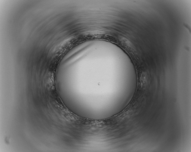 X0000103271062200809122130