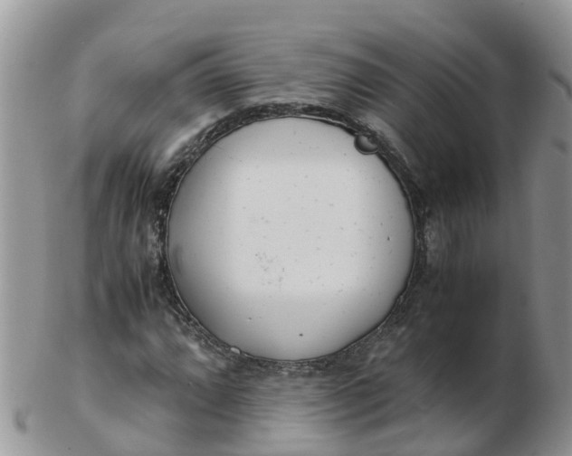 X0000103271064200809122130