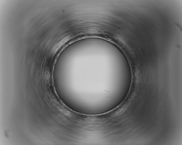 X0000103271065200809122130