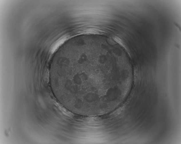 X0000103271067200809122130