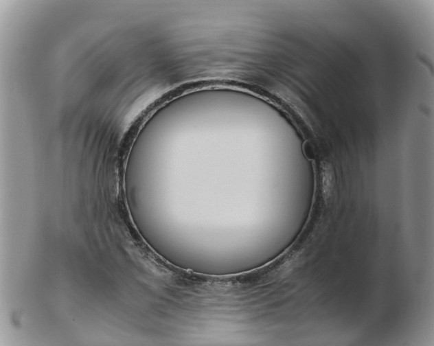 X0000103271069200809122130