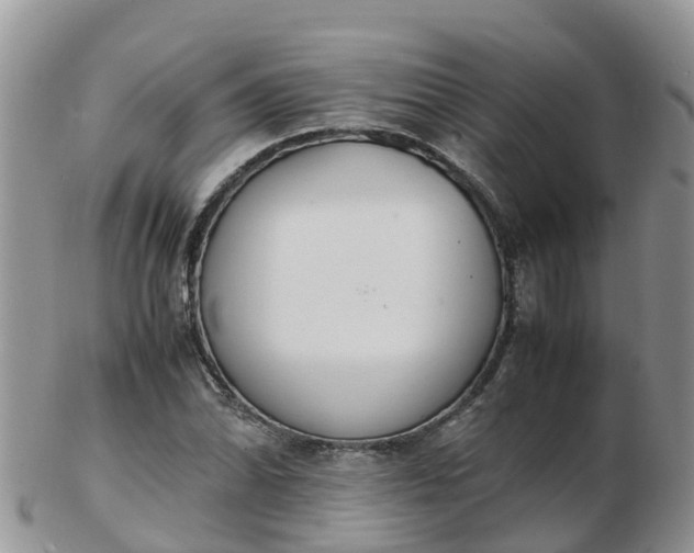 X0000103271070200809122130